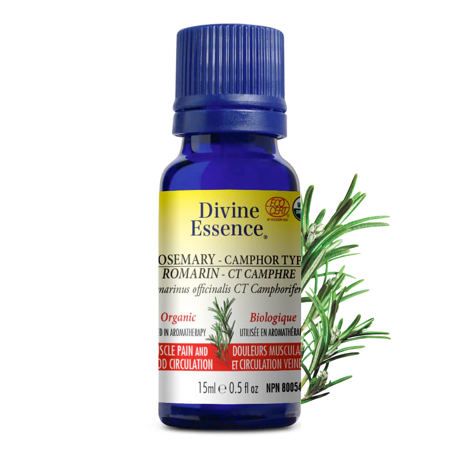 Romarin Type Camphre Biologique